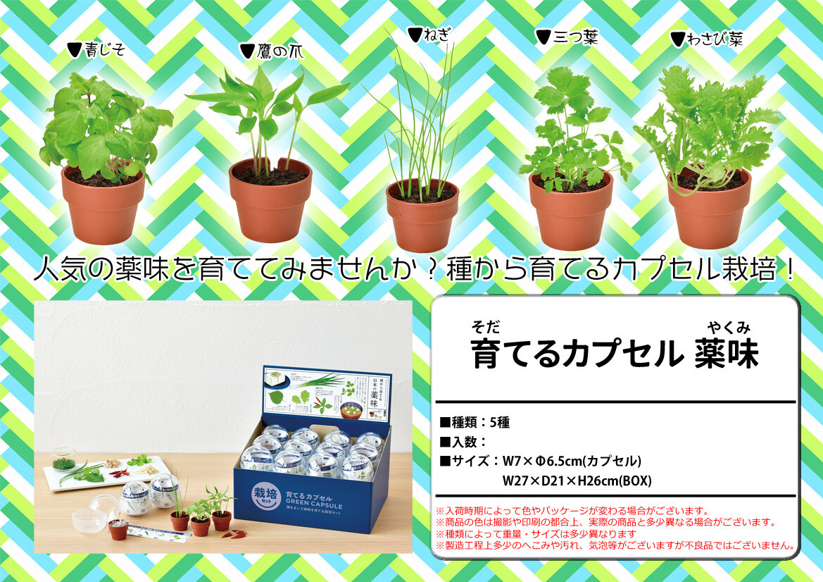 売り切れごめん 育てるカプセル薬味 5種の商品ページ 卸 仕入れサイト スーパーデリバリー 売り切れごめん 育てるカプセル薬味 5種の商品ページ 卸 仕入れサイト スーパーデリバリー
