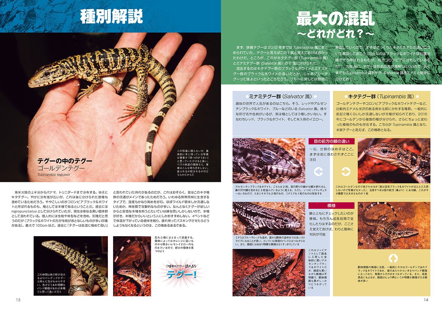 Animal Book Import Japanese Products At Wholesale Prices Super Delivery