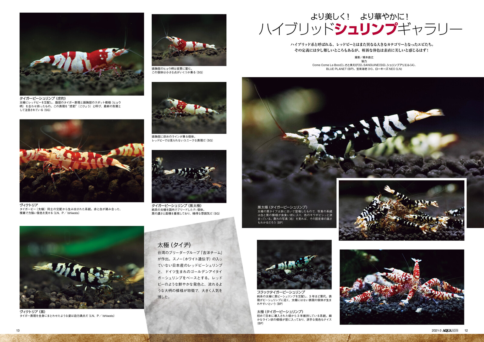 Animal Book Import Japanese Products At Wholesale Prices Super Delivery Animal Book Import Japanese Products At Wholesale Prices Super Delivery