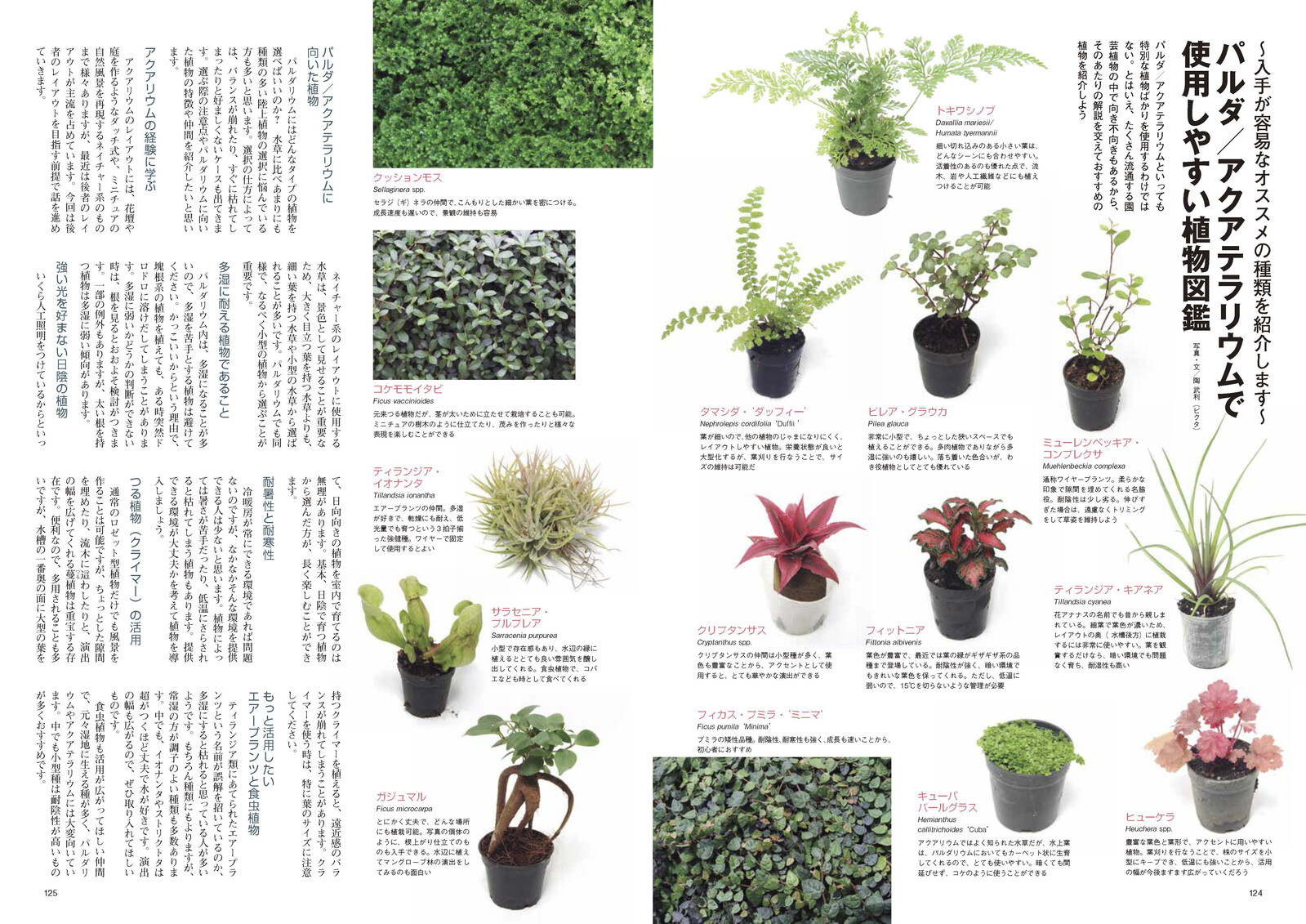 Gardening Book Import Japanese Products At Wholesale Prices Super Delivery Gardening Book Import Japanese Products At Wholesale Prices Super Delivery