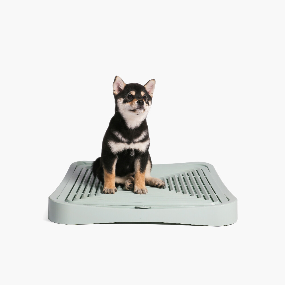 Pidan ピダン 犬用トイレ スクエア 飛び散り 防止 しつけ イタズラ防止 おしゃれの商品ページ 卸 仕入れサイト スーパーデリバリー Pidan ピダン 犬用トイレ スクエア 飛び散り 防止 しつけ イタズラ防止 おしゃれの商品ページ 卸 仕入れサイト スーパーデリバリー