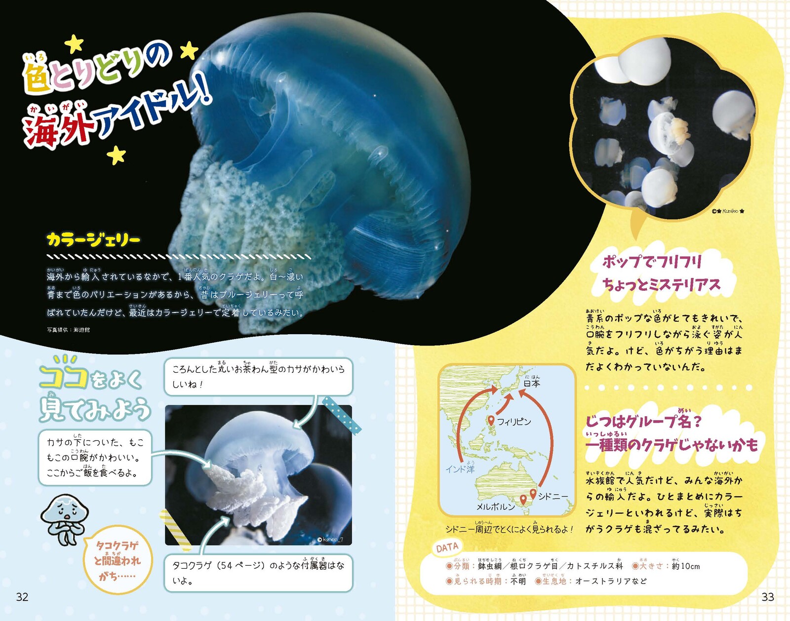 謎だらけ 超クラゲ図鑑の商品ページ 卸 仕入れサイト スーパーデリバリー