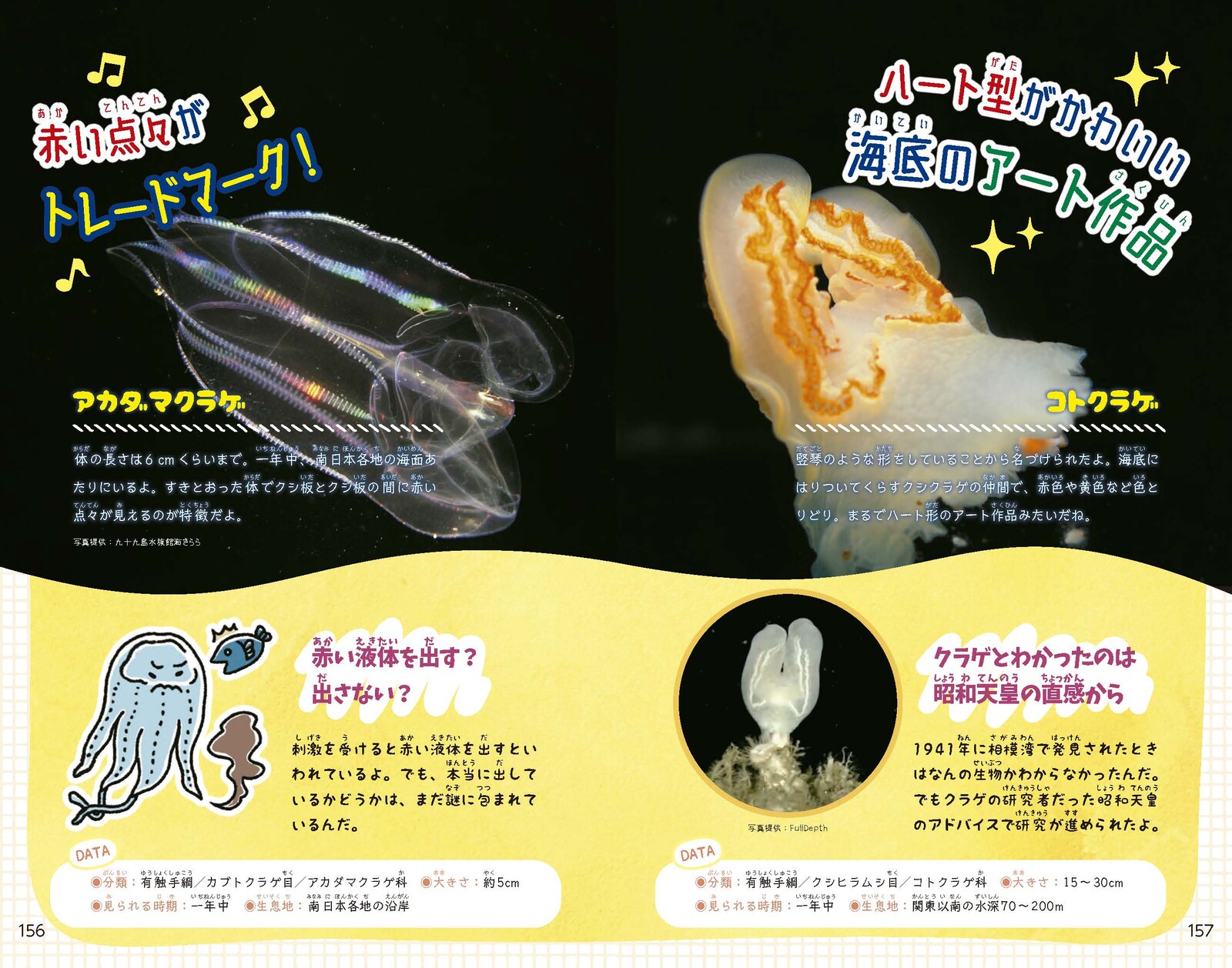 Animal Book Import Japanese Products At Wholesale Prices Super Delivery
