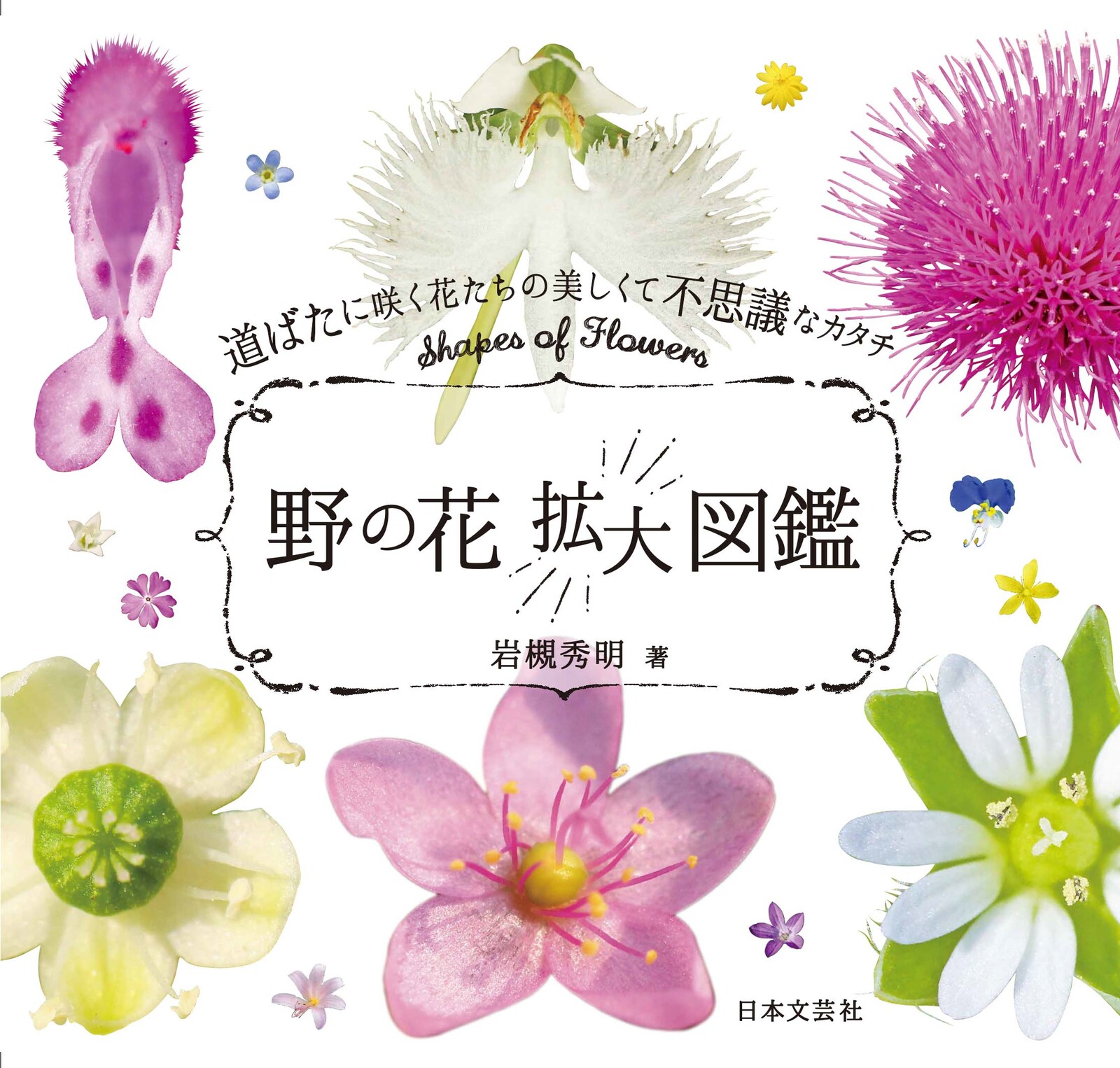Visual Dictionaries Import Japanese Products At Wholesale Prices Super Delivery Visual Dictionaries Import Japanese Products At Wholesale Prices Super Delivery