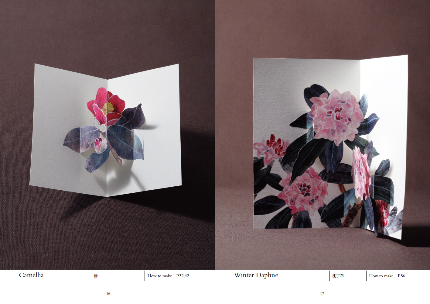 Blooming Flowers 美しい花のポップアップカードの商品ページ 卸 仕入れサイト スーパーデリバリー