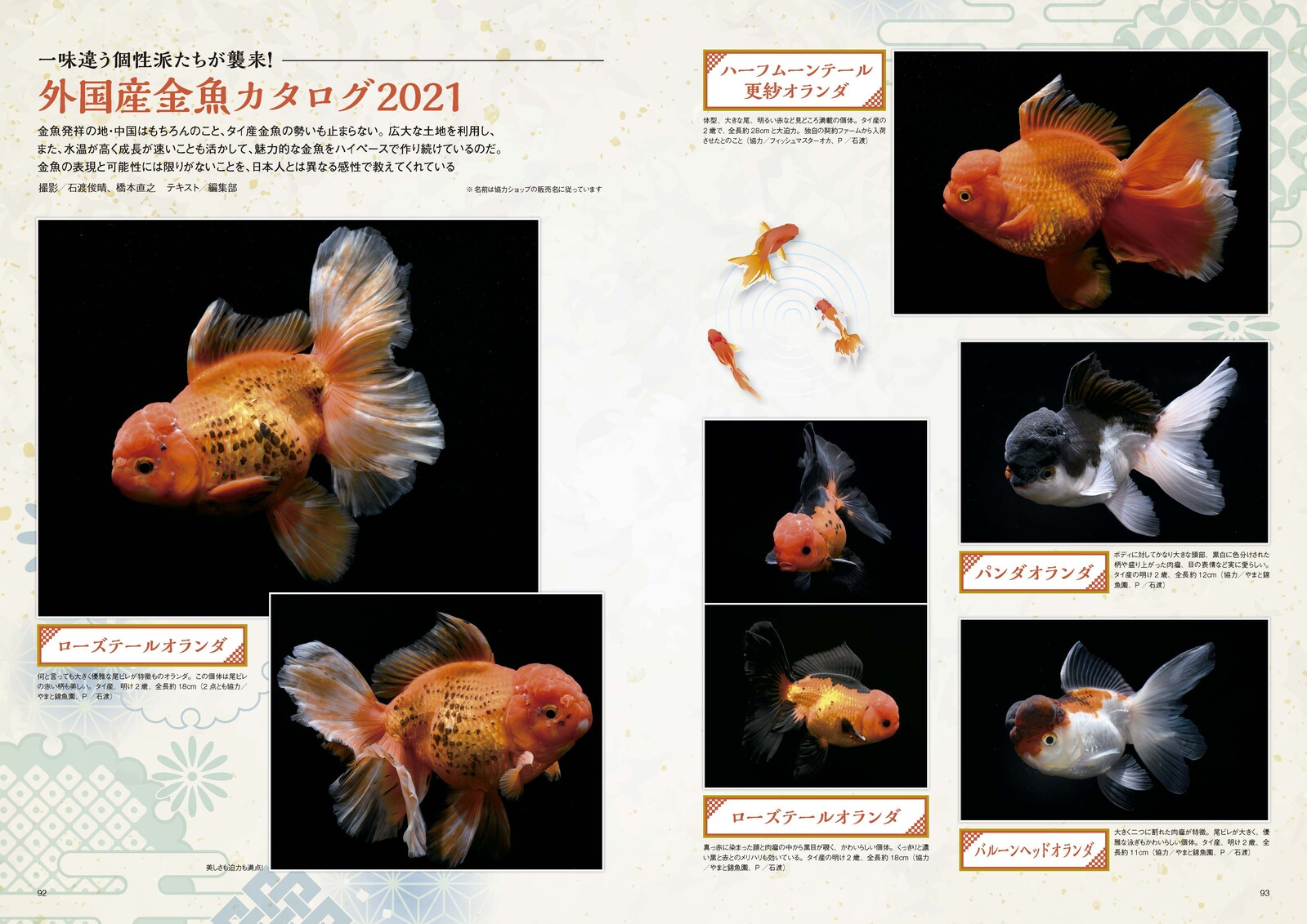 Animal Book Import Japanese Products At Wholesale Prices Super Delivery