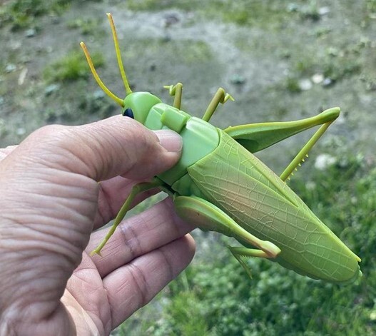 カマキリ バッタ ラジコン おうちあそびの商品ページ 卸 仕入れサイト スーパーデリバリー