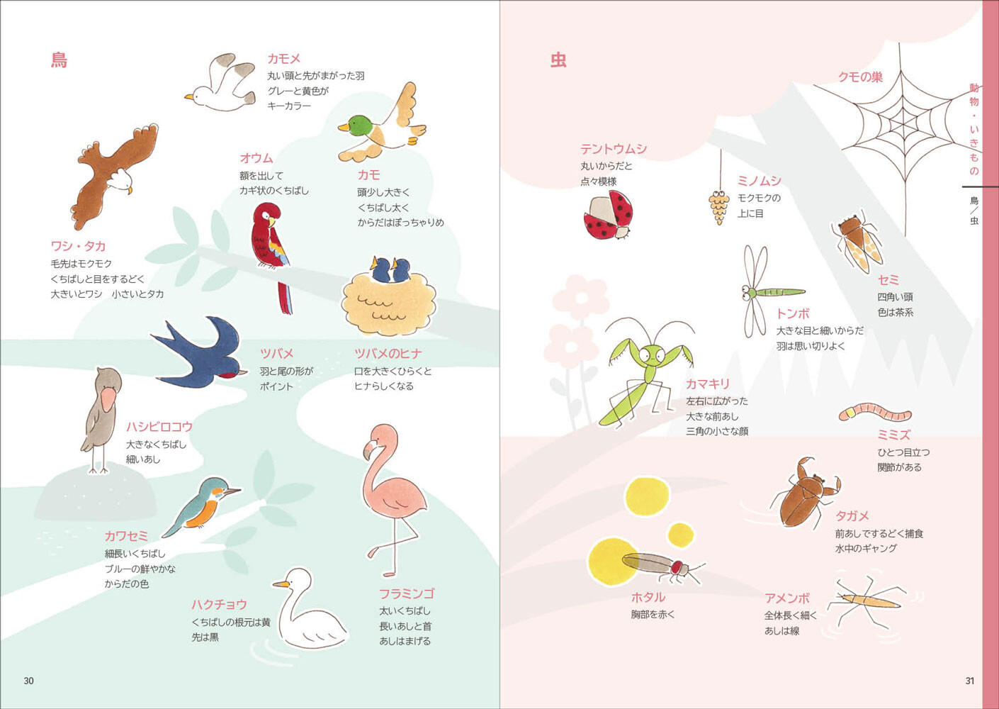 カモさんのイラスト大百科の商品ページ 卸 仕入れサイト スーパーデリバリー カモさんのイラスト大百科の商品ページ 卸 仕入れサイト スーパーデリバリー