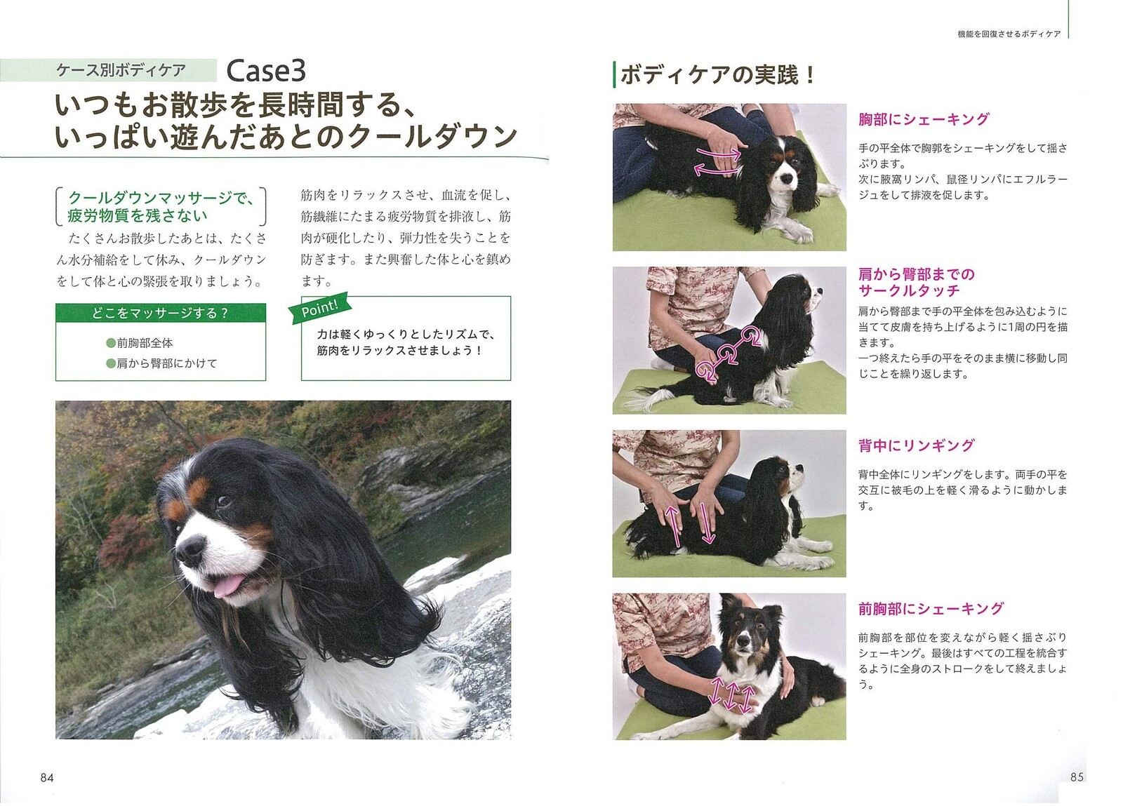 ドッグマッサージ 実践テクニックbook この一冊で基本から応用までの商品ページ 卸 仕入れサイト スーパーデリバリー
