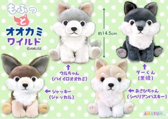 ぬいぐるみ もふっとオオカミワイルドの商品ページ 卸 仕入れサイト スーパーデリバリー ぬいぐるみ もふっとオオカミワイルドの商品ページ 卸 仕入れサイト スーパーデリバリー