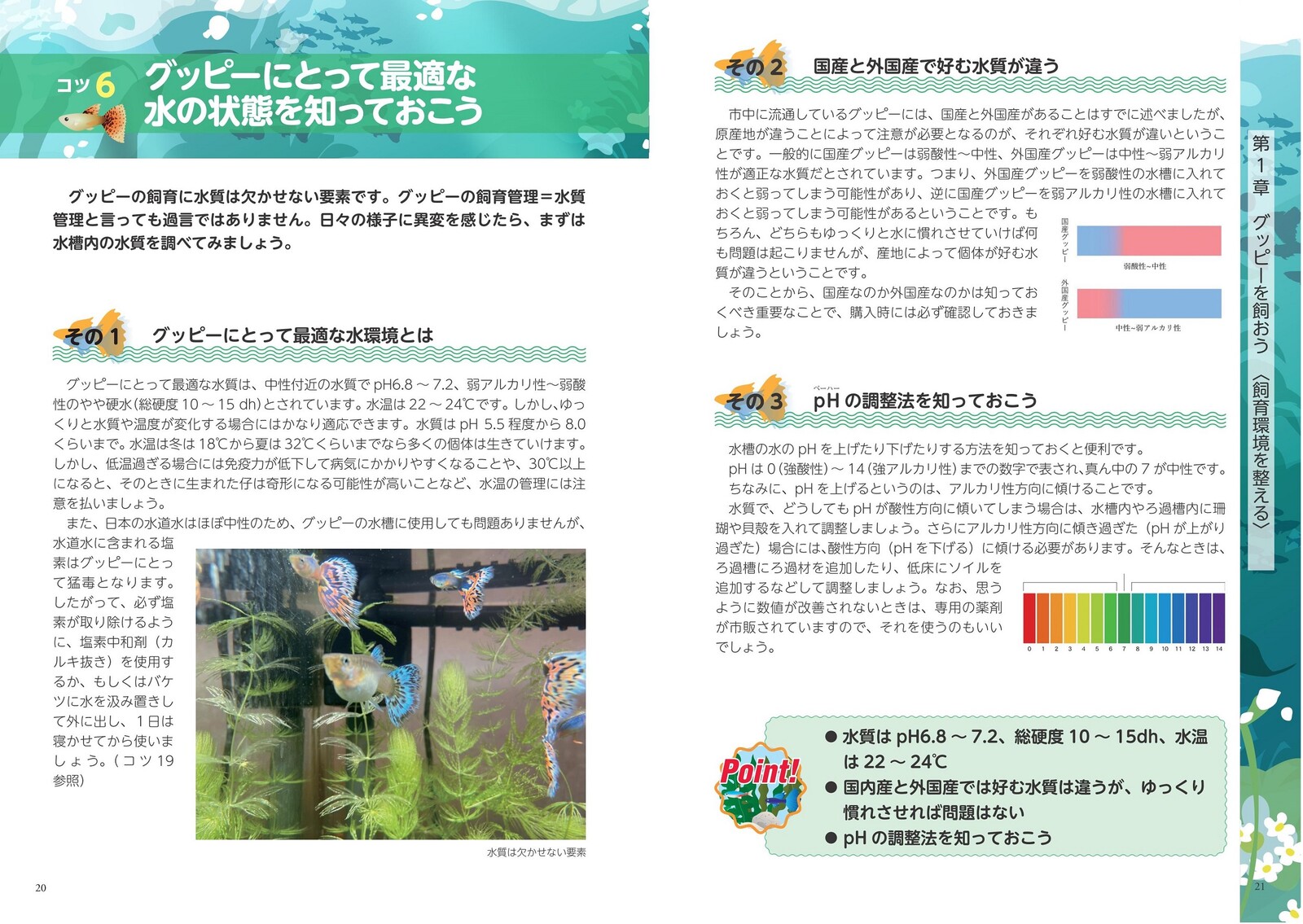 Out Import Japanese Products At Wholesale Prices Super Delivery
