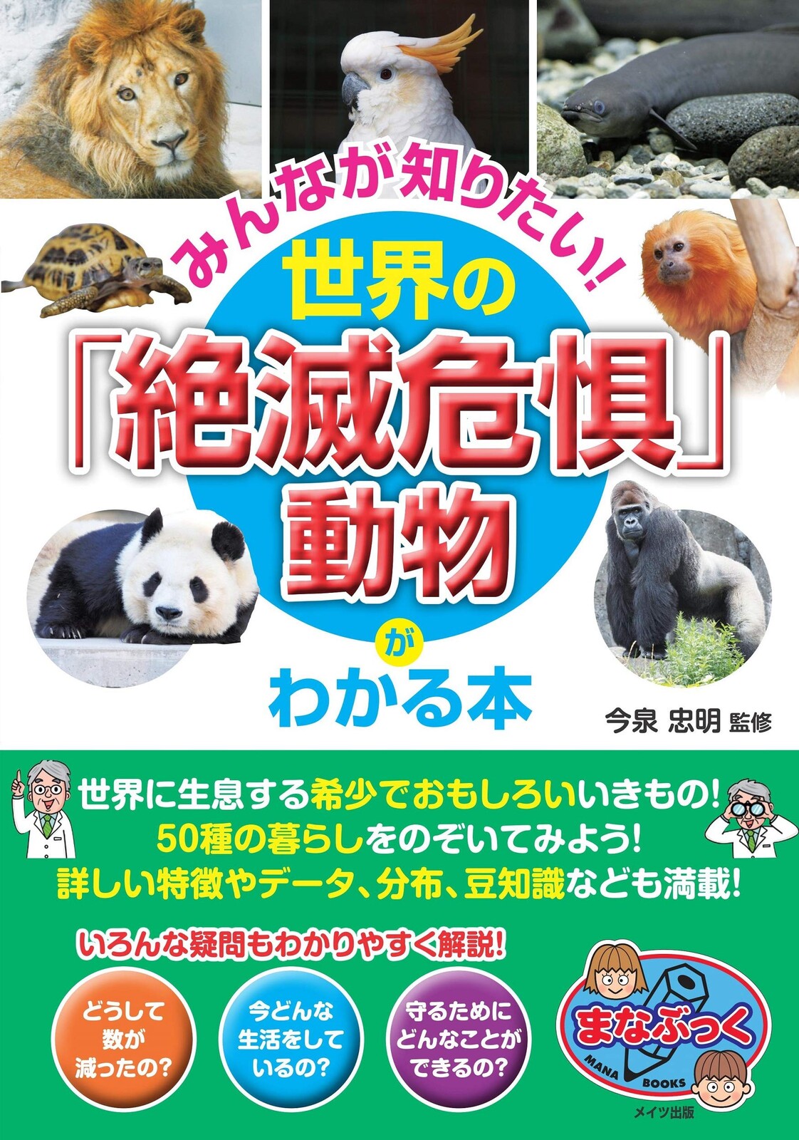 Everyone Animal Import Japanese Products At Wholesale Prices Super Delivery
