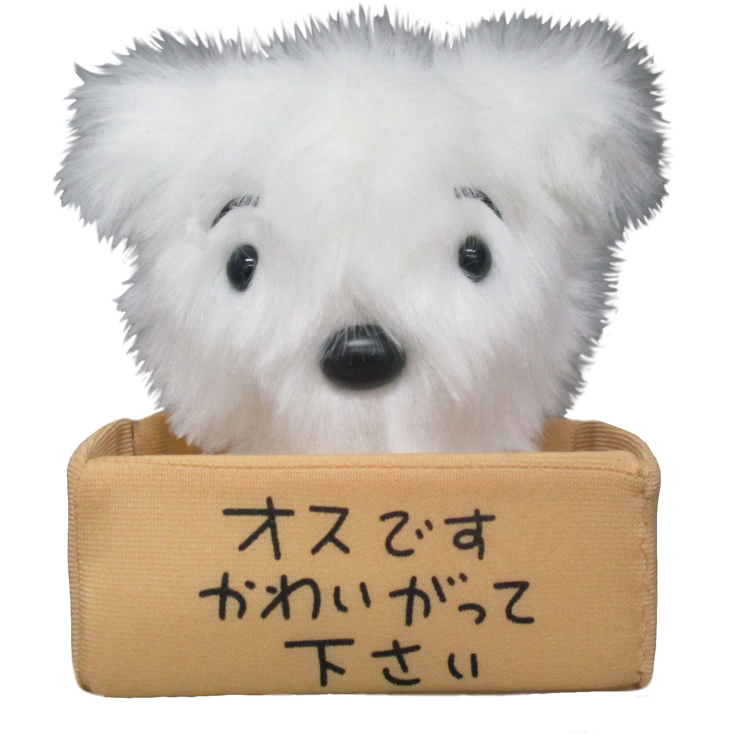 予約品 クレヨンしんちゃん シロぬいぐるみセット原作漫画ver 6 29 火 予約〆切り の商品ページ 卸 仕入れサイト スーパーデリバリー
