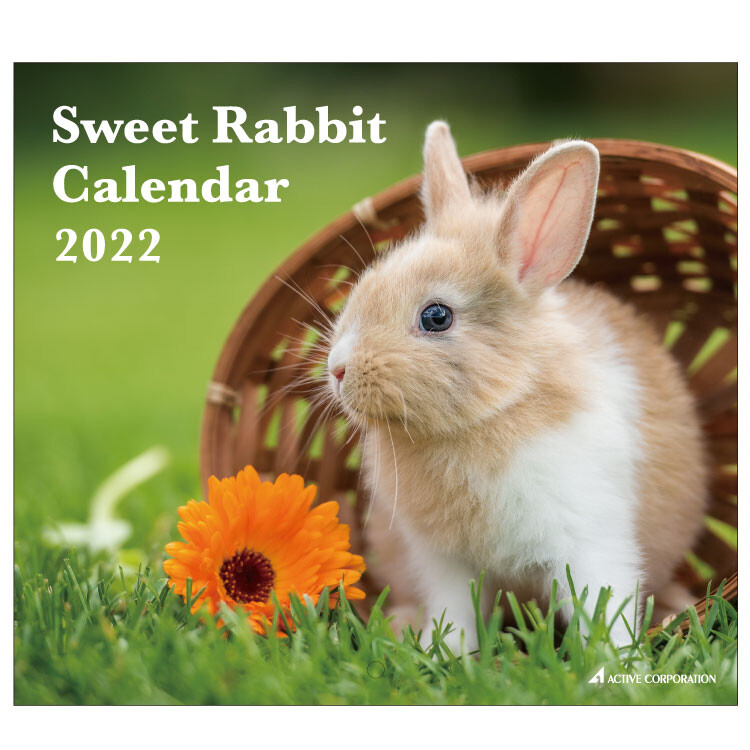 2022 Rabbit Calendar Wall Hanging Product | Import Japanese Products At Wholesale Prices - Super Delivery