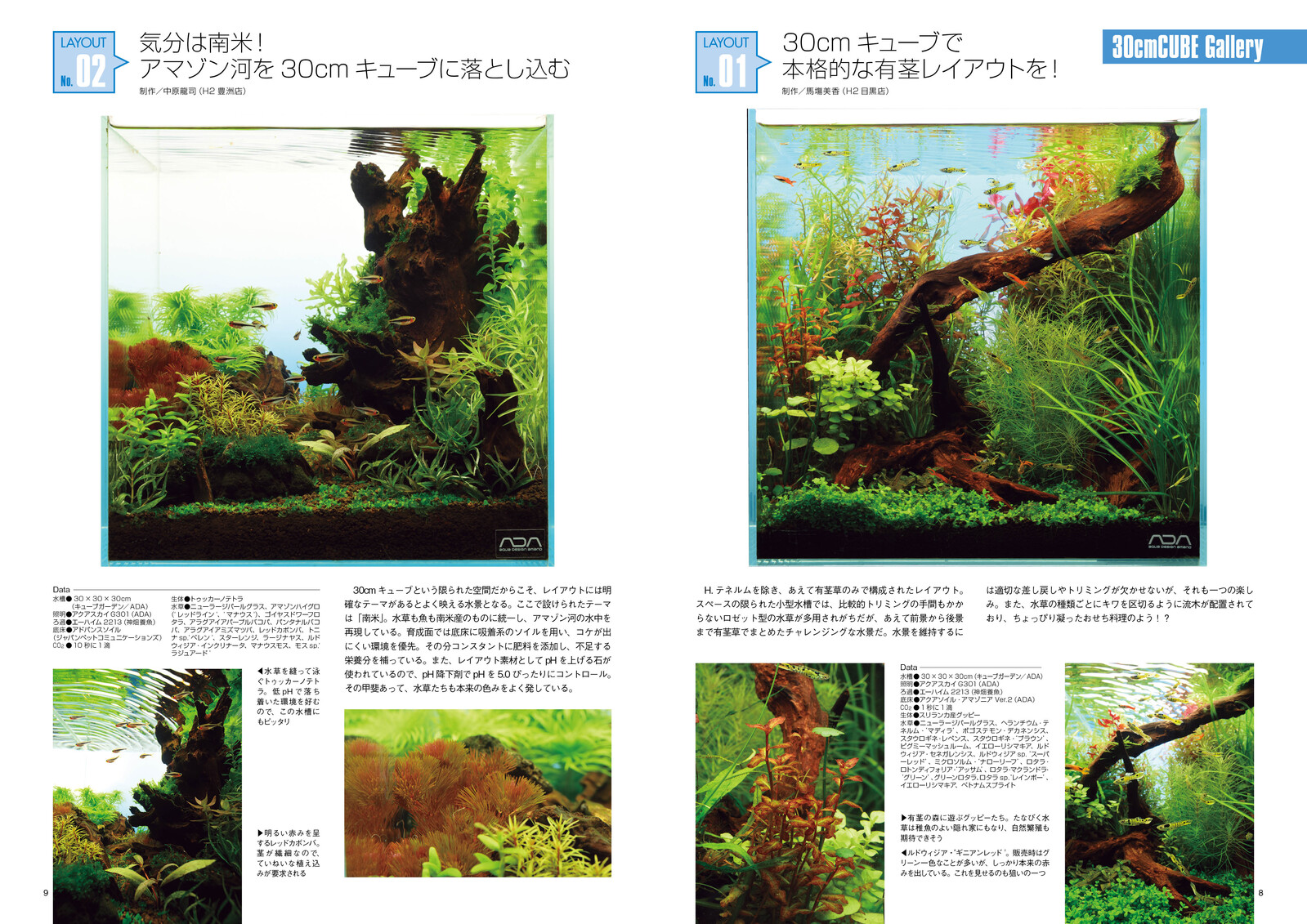 Aqua Life Cube Aquarium Import Japanese Products At Wholesale Prices Super Delivery Aqua Life Cube Aquarium Import Japanese Products At Wholesale Prices Super Delivery