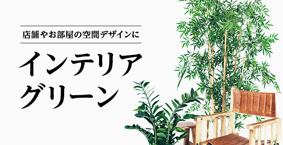 インテリアグリーン>