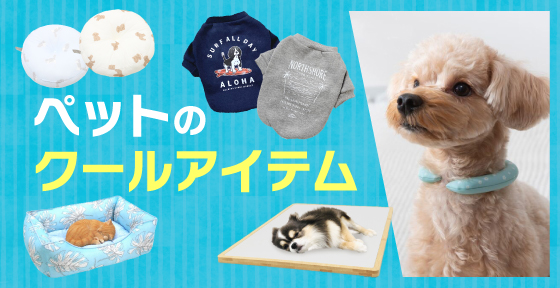 ペットのクールアイテム